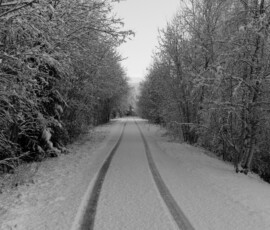 Varahommikune esimese lumehetk Pärnu lähistel. Mustvalge foto lumisest metsateest autoteerajaga.