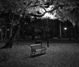 Mustvalge hetk Pärnu pargis hilisõhtul. Pildil on pargipink ja latern, mis valgustab sügisesi lehti. Mustvalge Pärnu pargi ööfoto: tühja pargipinki valgustab latern sügisese lehtedega pinnase kohal.