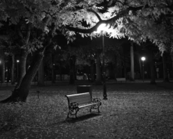 Mustvalge hetk Pärnu pargis hilisõhtul. Pildil on pargipink ja latern, mis valgustab sügisesi lehti. Mustvalge Pärnu pargi ööfoto: tühja pargipinki valgustab latern sügisese lehtedega pinnase kohal.