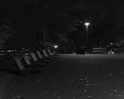 Mustvalge jäädvustus hilisõhtusest Pärnu Munamäest. Pildil on pargi lebopingid, mis on esile toodud laternavalgusega. Autor: Priit Suve. Priit Suve mustvalge foto Pärnu Munamäelt: rida tühje lebopinke pimedas pargis laterna valguses.