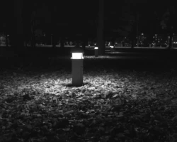 Mustvalge jäädvustus Vallikääru aasa pargivalgustist Tallinna väravate lähedal. Latern loob sügisese lehevaiba kohal dramaatilise valgusringi. Autor: Priit Suve. Priit Suve mustvalge ööfoto Vallikääru aasal Tallinna väravate juurest: maasse paigaldatud valgusti valgustab maapinnal olevaid sügisesi lehti.