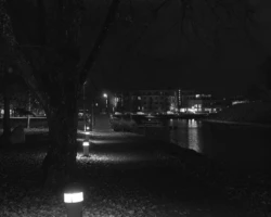 Öine mustvalge vaade Vallikääru aasa pargiteele. Maapinda katavad lehed ja rada ääristavad madalad valgustid. Autor: Priit Suve. Priit Suve mustvalge foto Vallikääru aasa pargirajast, mida valgustavad maapealsed lambid ja mille ääres on suur puu.