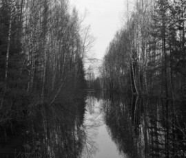 Talvine peegeldus Kõrsa rabas – looduse graafiline vaikus ja sümmeetria jõulupäeva karguses. Mustvalge vaade Kõrsa raba sirgele veekanalile, mille kallastel kasvavad puud peegelduvad sümmeetriliselt peegelsiledas vees, luues graafilise kompositsiooni.